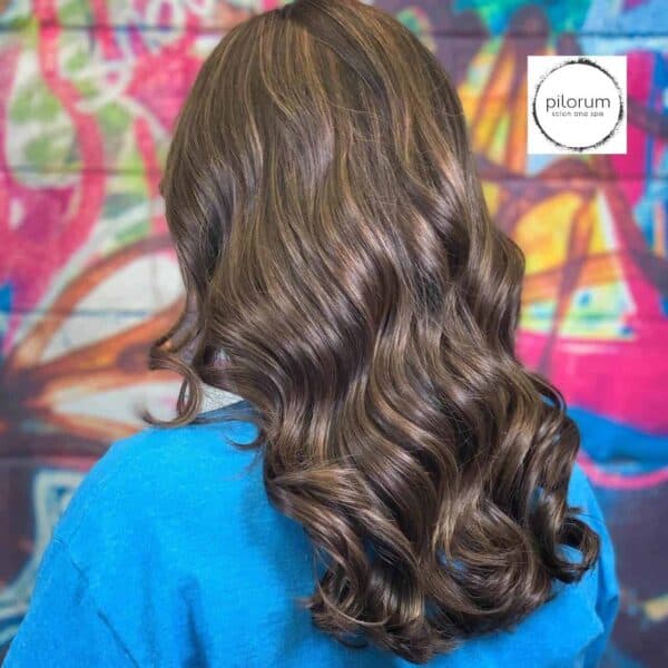 Long Brown Hair With Highlights