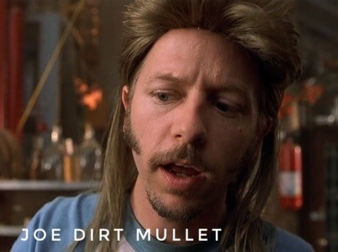 Joe Dirt Mullet